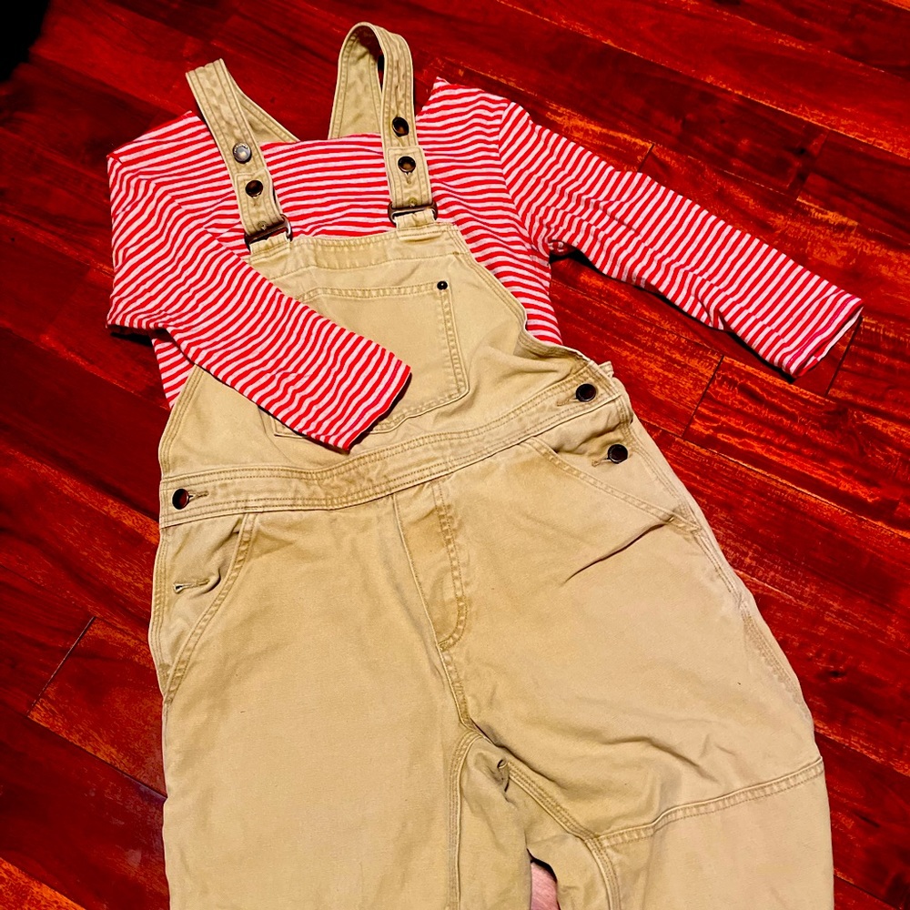 Patagonia Iron Forge Hemp Women’s Overalls Size Small